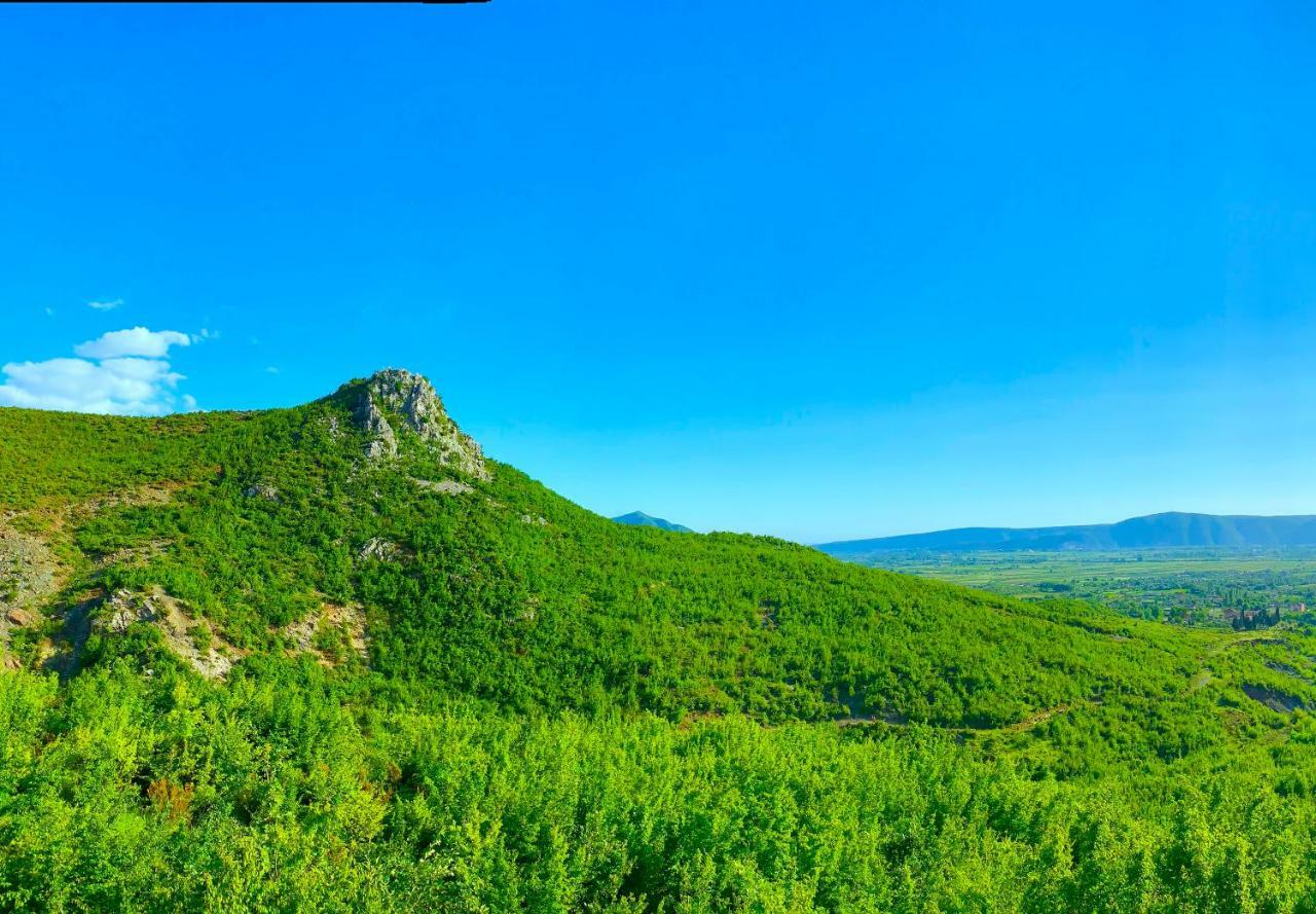 Hani I Leks Agroturizem Lezhe Exterior photo